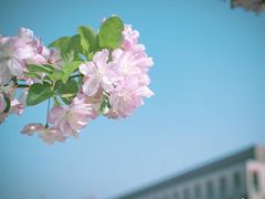-胡桃里音乐酒馆(环亚凯瑟琳广场店)