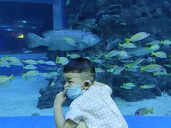 -成都浩海立方海洋公园