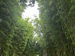 -翠府(翠湖北路店)