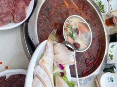 -枇杷园食为鲜火锅(南山店)