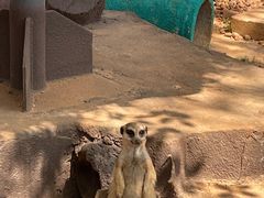 -昆明动物园