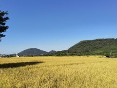 -艾米稻香小镇