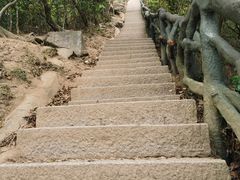 -梧桐山风景名胜区