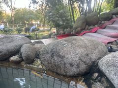 -三江森林温泉度假区