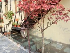 iphone_upload_pic-蓝瓶子BlueBottle(东瓯智库店)