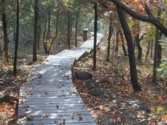 -北京十三陵国家森林公园蟒山景区
