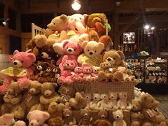 -小樽八音盒堂(手工制作体验馆店)