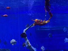 -石家庄极地海洋世界