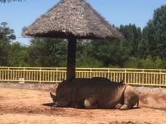 -鄂尔多斯野生动物园