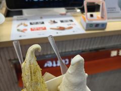 -野人先生现做冰淇淋(西安赛格店)