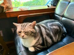 -咖法森林·咖啡  酒吧(天河店)