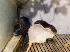 -成都浩海立方海洋公园