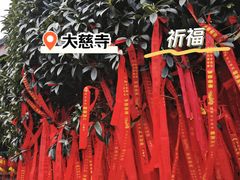 -古大圣慈寺