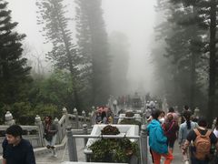-宝莲禅寺