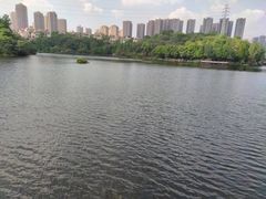 -重庆彩云湖湿地公园