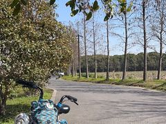-广富林郊野公园