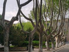 -大连理工大学(凌水校区)