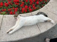 -万泉公园