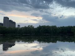 -阿尔丁植物园