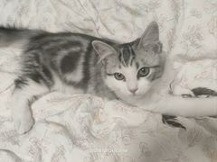 -南城香(富丰桥店)