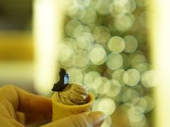 -The Lounge大堂酒廊·咖啡·沙拉·下午茶(金茂深圳JW万豪酒店)