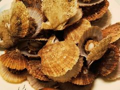 -宾朋海鲜特色美食餐厅·纯手工鲅鱼水饺(兴海路店)