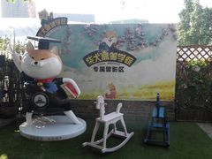 -柴犬高等学院·狗咖·柴犬售卖·宠物训练