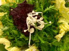 -洞仙锅(花园街店)