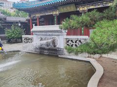 -迎泽公园