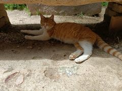 -终南山南五台景区