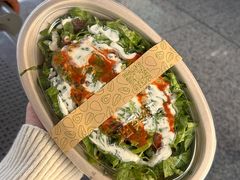 -油梨树AVOCADO TREE(望京店)