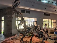 -自贡恐龙博物馆