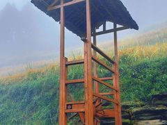 -紫鹊界梯田景区