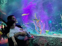 -沈阳海洋探索中心