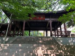 -杭州半山国家森林公园