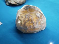 -青岛贝壳博物馆