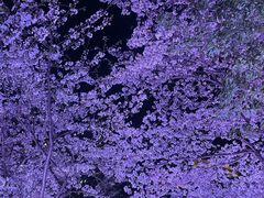 -西北湖绿化广场