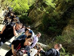 -狼牙山风景区