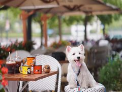 -Peet's Coffee皮爷咖啡(大学路店)