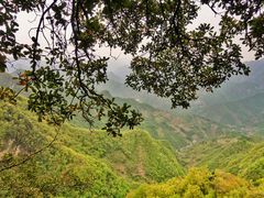 -塔云山