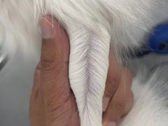 -comecome来吧宠物(奥克斯中心店)