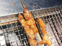 羊肉串-橦橦小马扎烧烤 (传媒大学店)