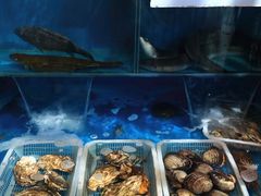 -福匠日本料理(人民路店)