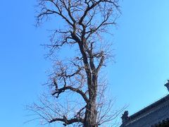 -天津戏剧博物馆