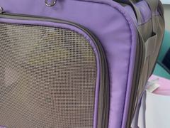 -北京观赏动物医院·24小时大型综合·猫专科·异宠专科