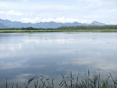 -野鸭湖国家湿地公园