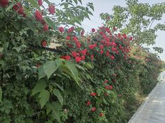 -Supine Bistro溯泮餐厅