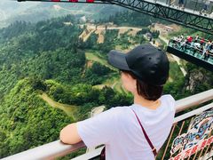 -梦幻奥陶纪景区