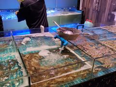 水产区-领鲜活海鲜榴莲自助火锅(东门店)