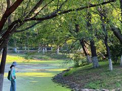 -长白岛森林公园